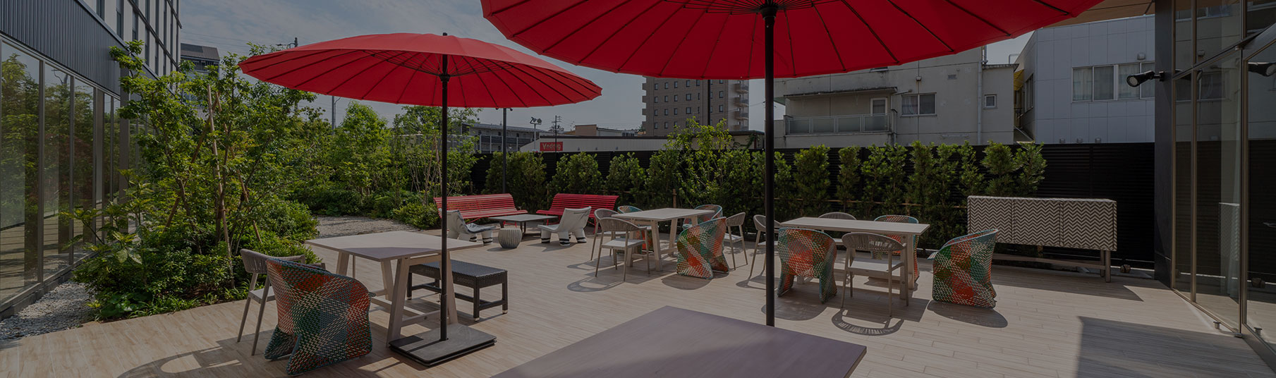 アクティビティ