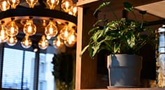 FARMERS GARDEN Cafe オムレット